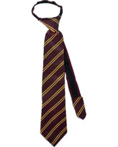 Bishops Long Tie 6th To 10th STD