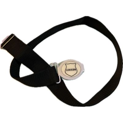 LEXICON BELT 4TH TO 12TH STD