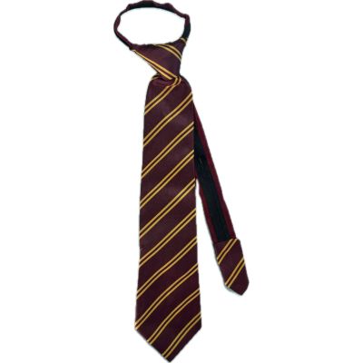 Bishops Long Tie 6th To 10th STD